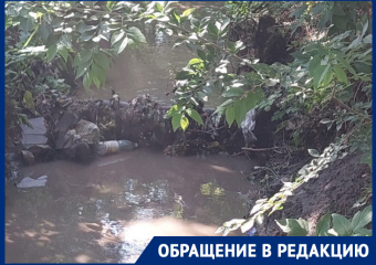 «Труп, алкаши и наркоманы»: волгодонцы возмущены запущенным состоянием ливнестока рядом с администрацией
