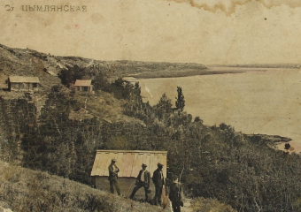 Почему виноградники у станицы Цимлянской считались уникальными