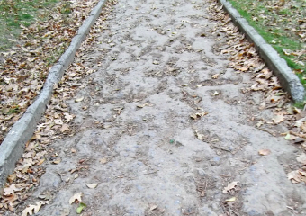 «Самая любимая яма»: Письмо в новую рубрику «Блокнота» впервые прислал пешеход