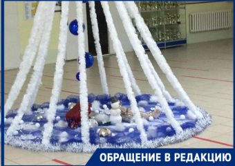 «Хочется хоть какой-то радости для детей»: родителей удивила елка в Романовской школе