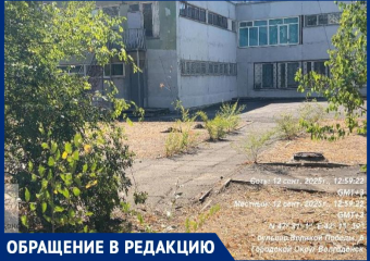 Шприцы и бульбуляторы покрывают «Юнону»: как легендарная гимназия Волгодонска превратилась в притон для наркоманов