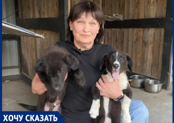 «Бороться нужно с бездомностью, а не с собаками: почему проблема бродячих животных - вина человека», - зооволонтер Лариса Семина 