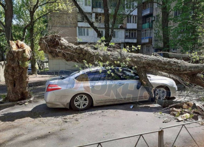 Остановка улетела, облицовка стен ушла за ней, машины давило деревьями: коварный штормовой шквал ударил по Волгодонску