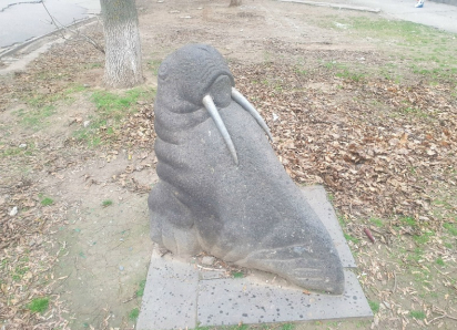 Откуда у «Комсомольца» в Волгодонске появился брутальный морж