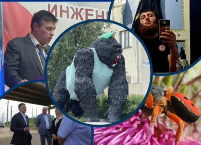 Переодетая горилла, Юрий Слюсарь в Орловском районе и главная угроза Ростовской АЭС: главные новости недели