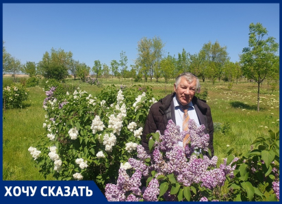 «Водоканал смотрит, как деревья гибнут от засухи и огня»: сквер на берегу залива засыхает из-за отсутствия полива