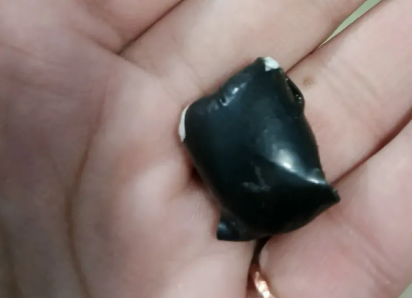 Волгодонец спрятал в карман «синтетику»: возбуждено уголовное дело о хранении наркотиков в крупном размере