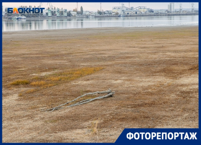 Что происходит с Цимлянским водохранилищем, и случится ли в Волгодонске водная катастрофа после обмеления водоема