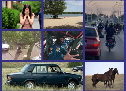 Желтый Банан, влюбленный жеребец, массовая драка в Романовской, незаконные торговцы с иностранным акцентом: итоги недели вместе с «Блокнотом Волгодонска»