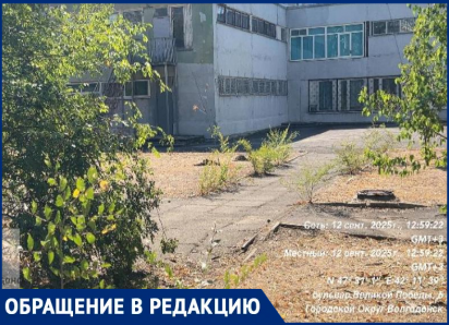Шприцы и бульбуляторы покрывают «Юнону»: как легендарная гимназия Волгодонска превратилась в притон для наркоманов