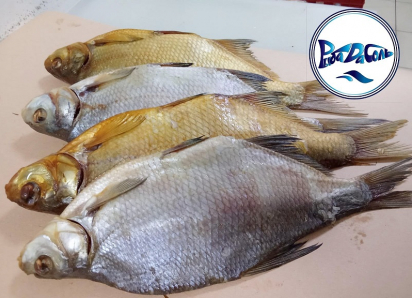 Товар дня: лещ «Цимлянский» средний всего 300 руб./кг