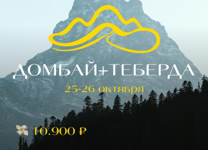 По промокоду «ВАЙБ»  скидка 1.000 р. на поездку