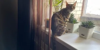 Квартиры волгодонцев продолжают жарко топить на фоне теплой погоды 