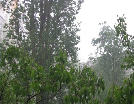На Волгодонск обрушился сильнейший дождь с градом