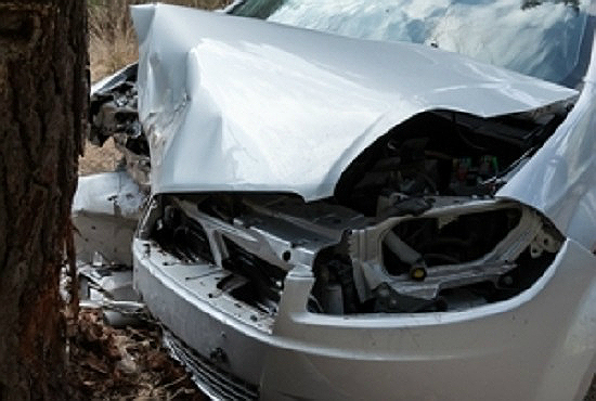 На трассе Шахты - Цимлянск «Тойота» врезалась в дерево – погибла женщина