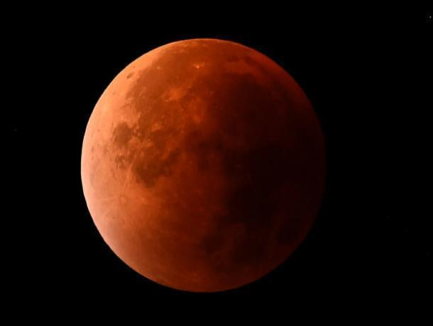 Волгодонцы смогут увидеть сегодня вечером «кровавую» Луну