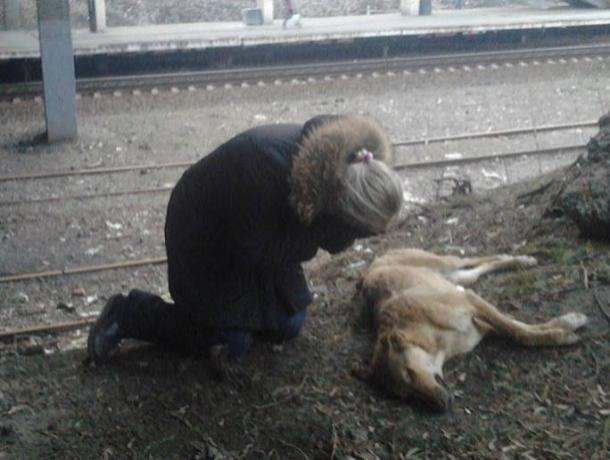 Недалеко от Волгодонска догхантеры травят бездомных и домашних собак