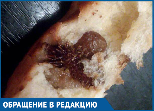 Девушка нашла плод зобовидного дурнишника в выпечке популярной булочной Волгодонска