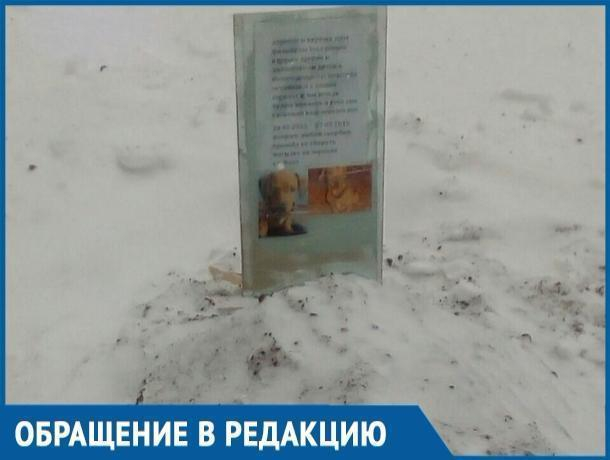 На детской площадке в Волгодонске появилась могила собаки