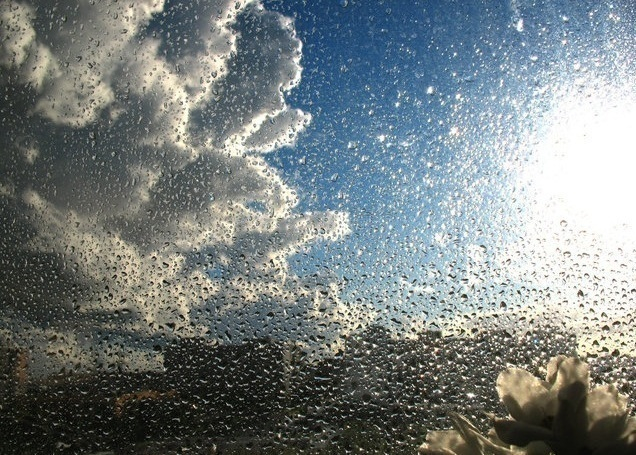 В последние выходные весны синоптики прогнозируют Волгодонску дождь и ветер