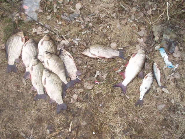 Четверо жителей Волгодонска попались на незаконной ловле рыбы
