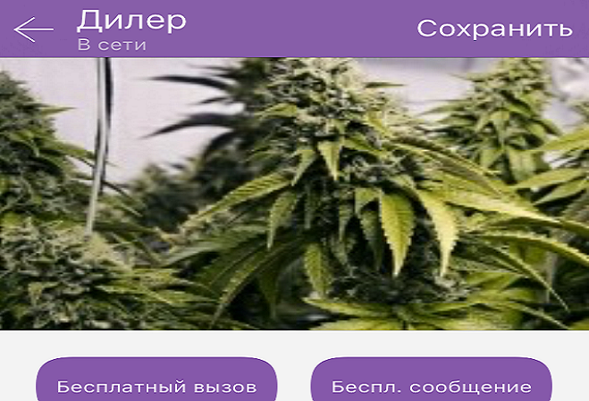 Жителям Волгодонска через мобильное приложение Viber приходит реклама наркотиков