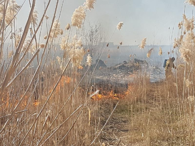 Штормовое предупреждение о чрезвычайной пожароопасности объявлено в Волгодонске