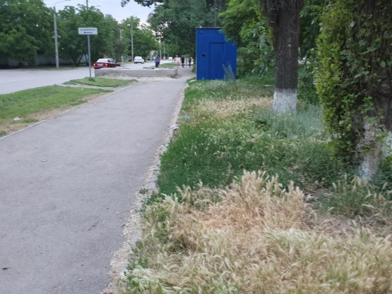 В Волгодонске выкосили 12 гектаров травы