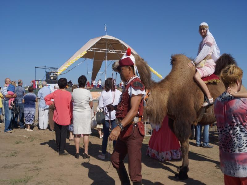 Будет ли в Волгодонске фестиваль «Великий шелковый путь» зависит от волгодонцев