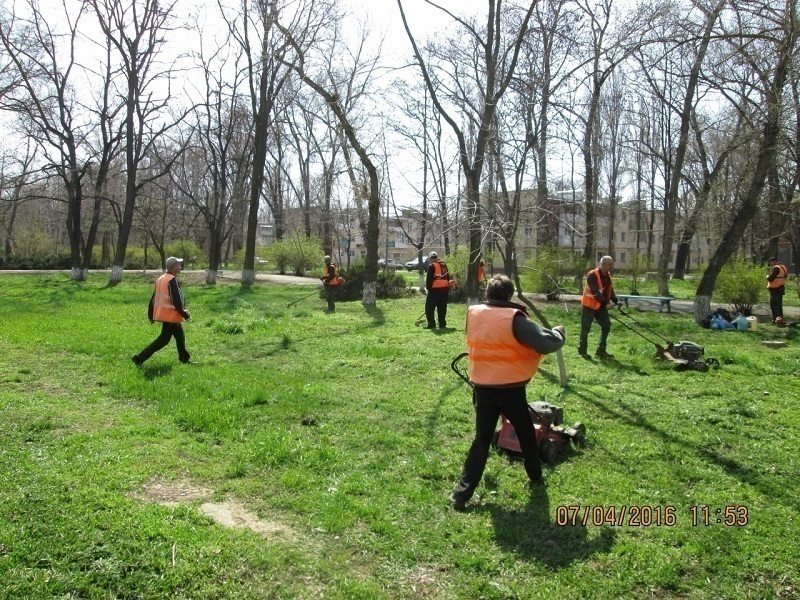 Ранняя весна в Волгодонске выгнала на улицы газонокосильщиков