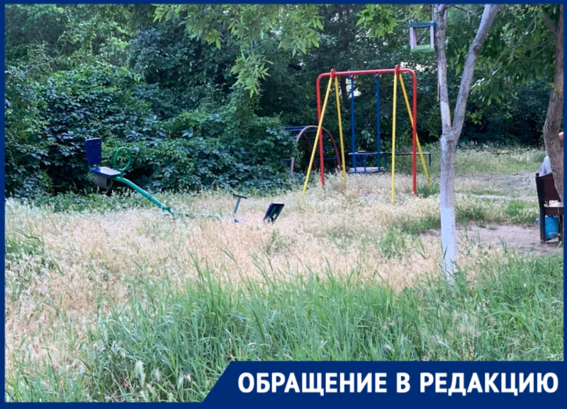«Наши дети вынуждены играть в траве по-соседству с клещами»: волгодонцы о состоянии детской площадки
