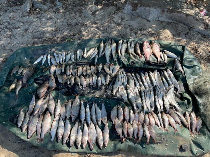 До двух лет тюрьмы грозит 30-летнему рыбаку за незаконный вылов биоресурсов на берегу Цимлянского водохранилища