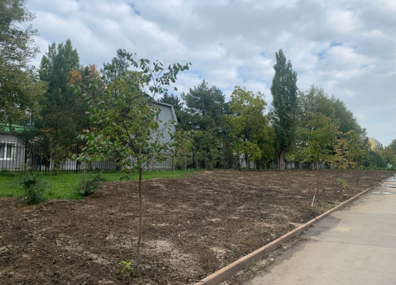 Котлован на бульваре Великой Победы зарыли: будет ли восстановлен газон за 2,5 миллиона рублей?