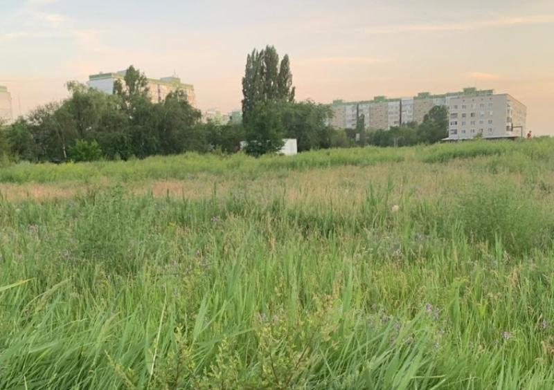 Администрация Волгодонска намерена расторгнуть контракт с подрядчиком по покосу травы