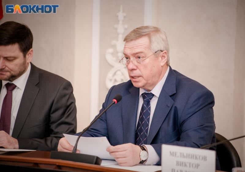 Губернатор Голубев отреагировал на призывы отменить новогодние гулянья в Ростовской области