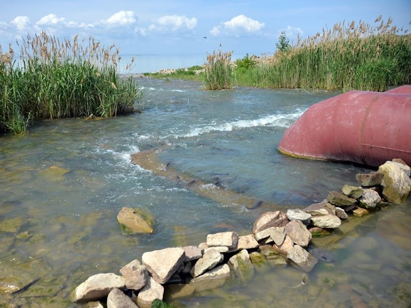 Дамбу пруда-охладителя Ростовской АЭС проверили на прочность