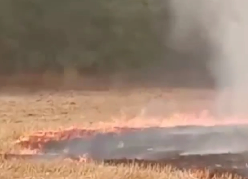 Областные инспекторы оштрафовали фермера за сжигание остатков урожая в пожароопасный сезон