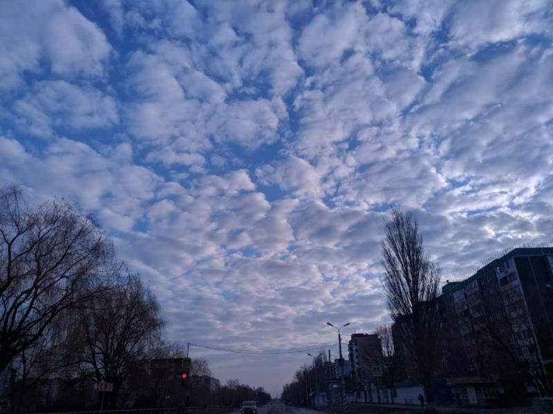 До +7 градусов прогреется воздух в Волгодонске в предпоследний день марта