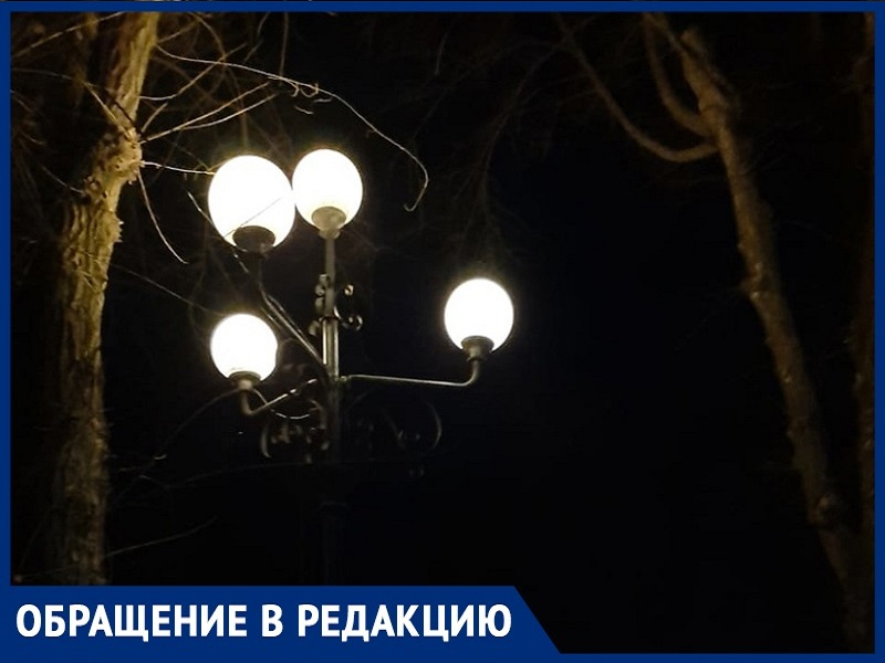 «На освещении памятника великому русскому поэту экономить не стоит»: волгодонец