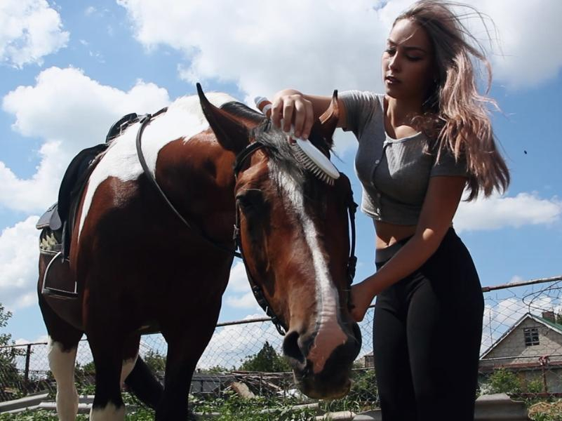 «Поседевшая грива, душераздирающие крики и грусть в глазах»: конный клуб столкнулся с массовым заболеванием лошадей