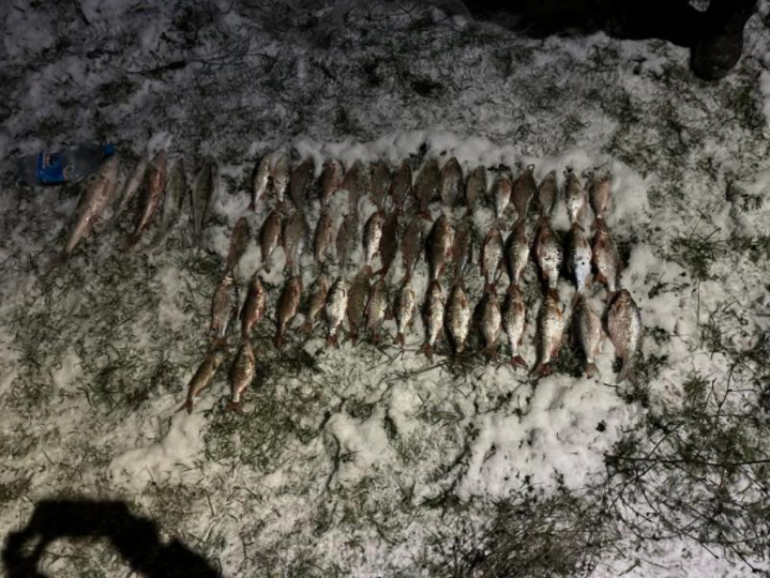 До двух лет тюрьмы за 50 рыбешек грозит волгодонскому браконьеру