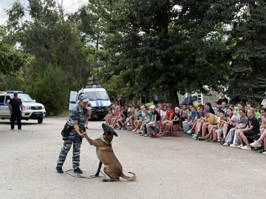 В детском центре «Ивушка» вторая смена завершилась визитом полицейской собаки