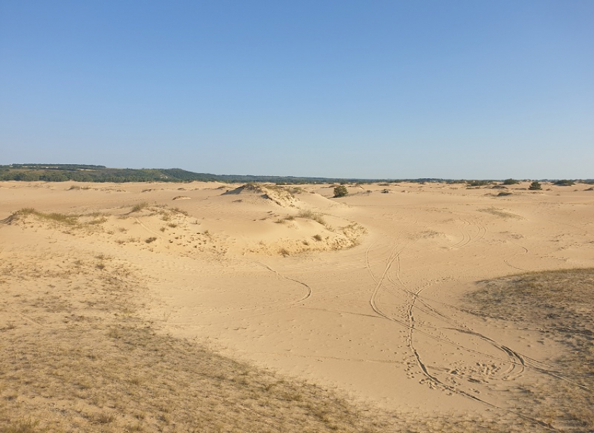 Где в Ростовской области можно бесплатно покататься на склонах настоящих песчаных дюн, а потом попробовать чистейшую родниковую воду