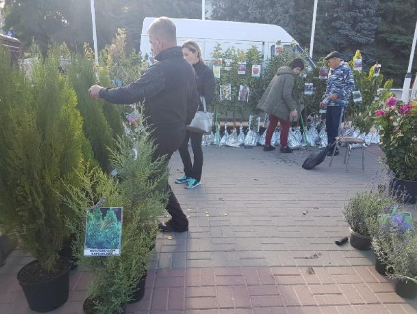 В субботу площадь Победы в Волгодонске будет усеяна изобилием продуктов, саженцев и сувениров 
