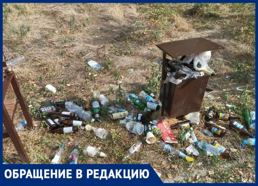 «Мы не думали, что такое бывает!»: аллея рядом с детским садиком «Уголёк» стала свалкой пивных бутылок