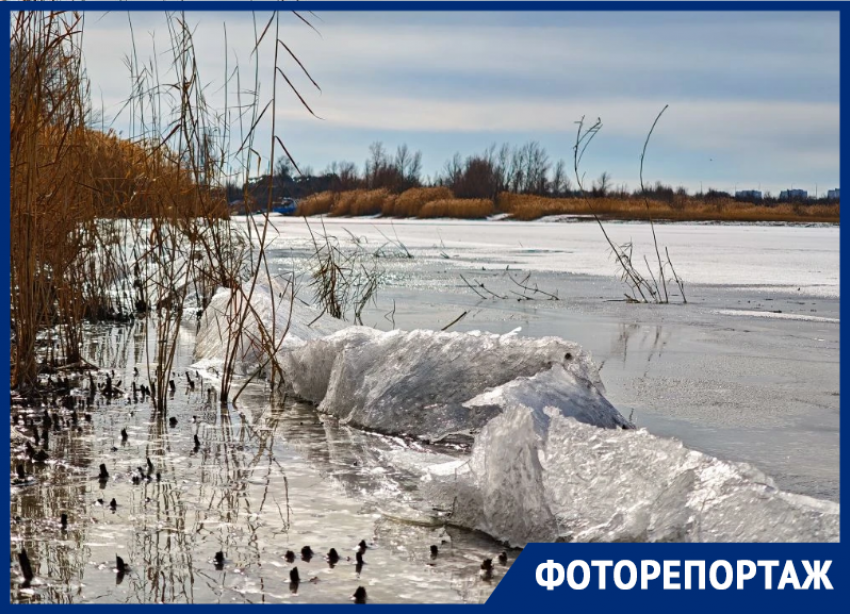 Фотограф Сергей Гибков показал зимний облик Цимлянского водохранилища