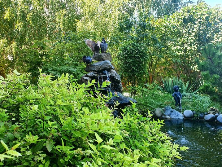 Жарким и ветреным будет четверг в Волгодонске