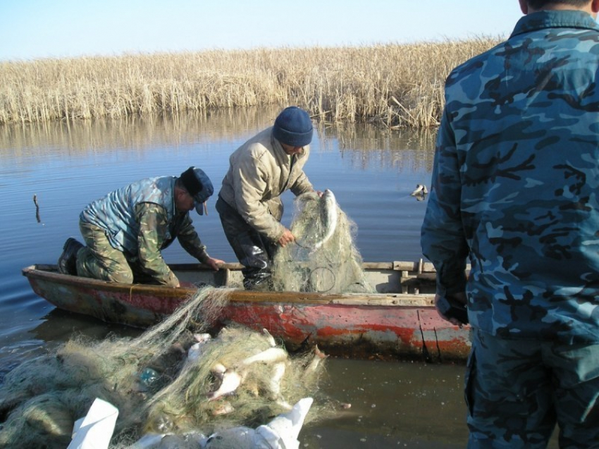 Браконьеру из Волгодонска грозит до пяти лет тюрьмы за ловлю раков и рыбы