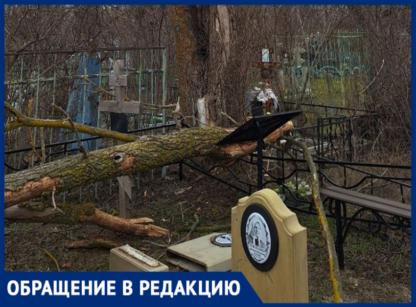 «Поломанные деревья разрушают оградки  и памятники»: волгодонцы о состоянии старого кладбища 