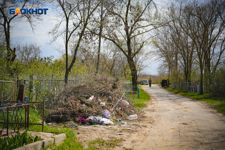 Запретить высаживать на кладбищах деревья планируют в Волгодонске